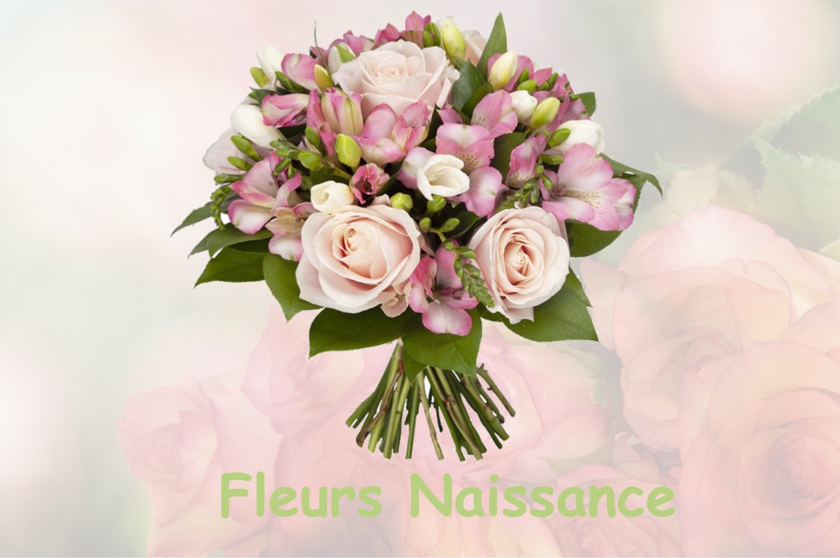 fleurs naissance SAINT-JORY-DE-CHALAIS
